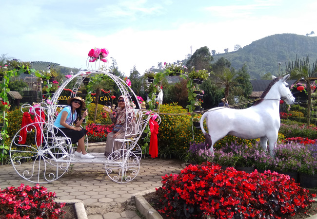 Taman Begonia Lembang, Wisata Murah di Bandung