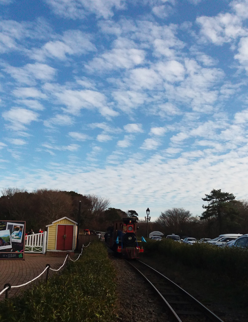 Mini Train untuk keliling Ecoland, tempat wisata di Jeju
